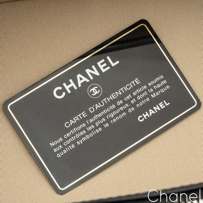 Chanel Raffia Rattan & Calfskin Vanity Case Bag